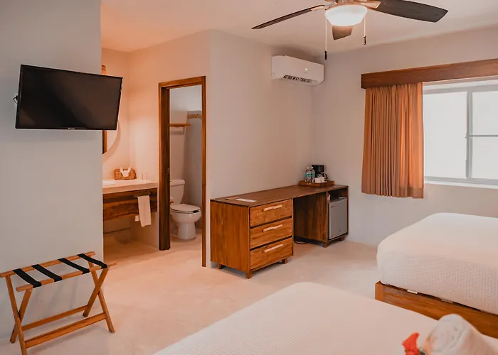 Hotel Petit Lafitte Front &