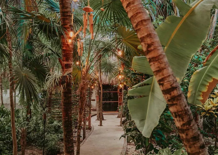 Hotel Petit Lafitte Front & 4*