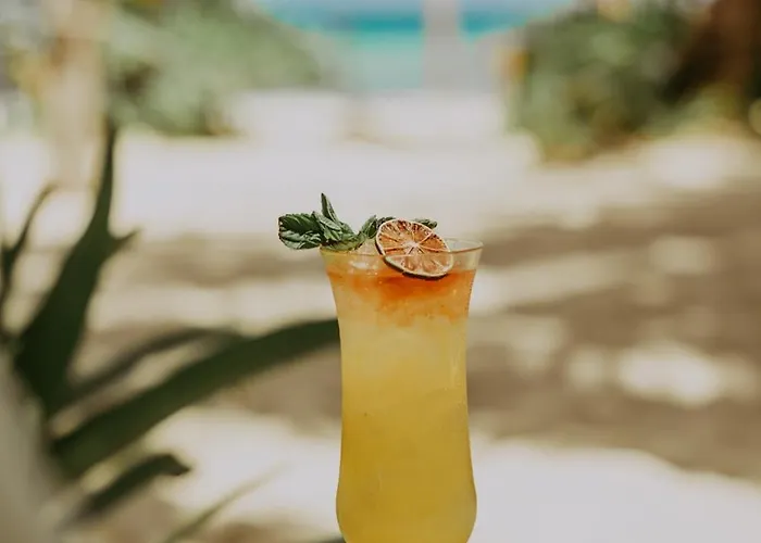 Petit Lafitte Front & Hotel Playa del Carmen
