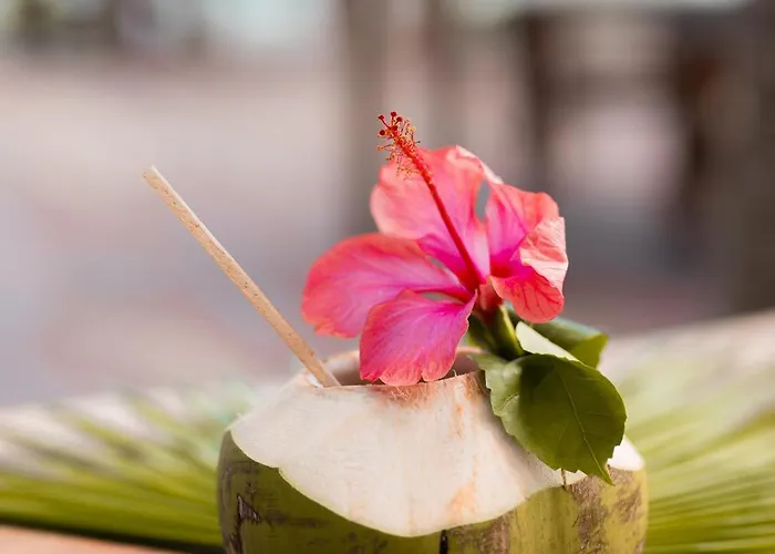 Hotel Petit Lafitte Front & Playa del Carmen