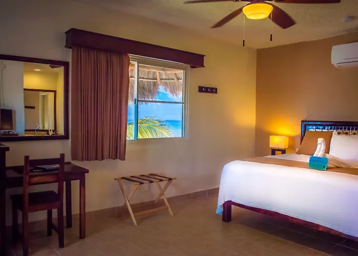 Hotel Petit Lafitte Front &