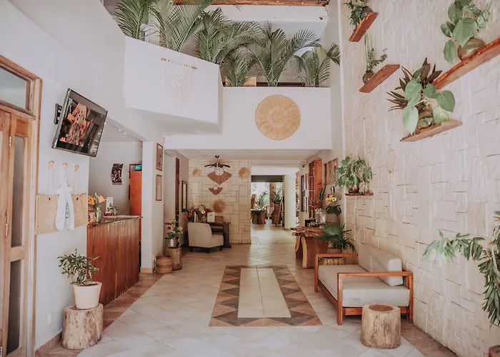 Petit Lafitte Front & Hotel 4*