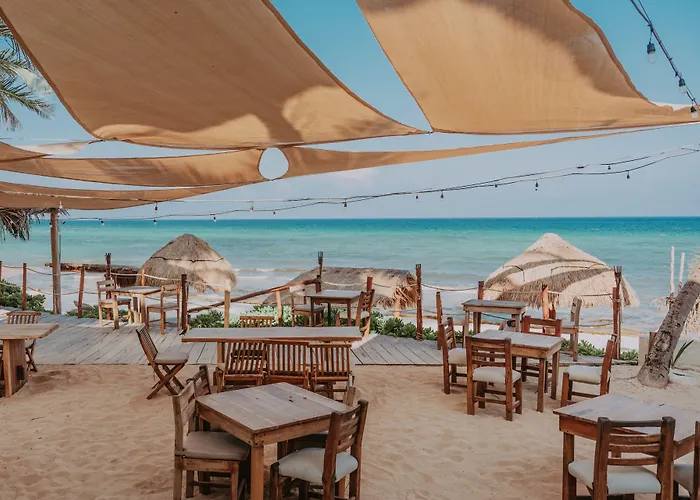 Petit Lafitte Front & Playa del Carmen