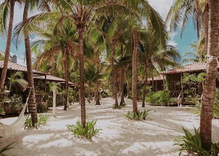 Petit Lafitte Front & 4* Playa del Carmen