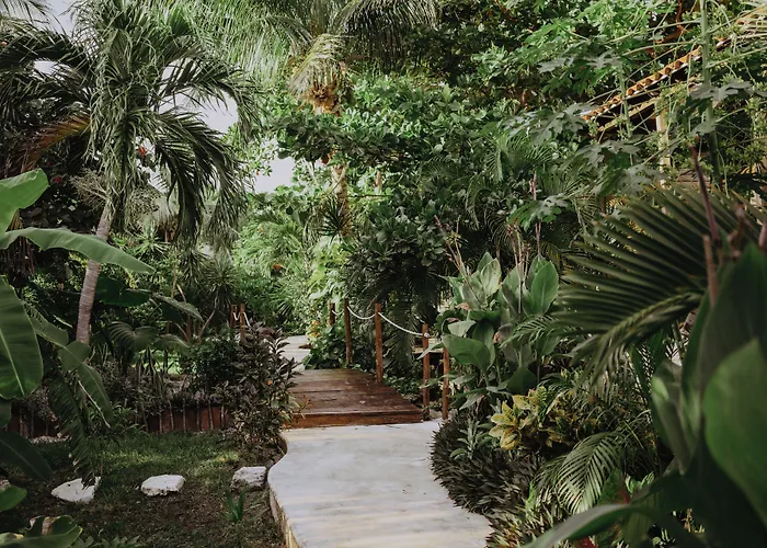 Hotel Petit Lafitte Front & Playa del Carmen